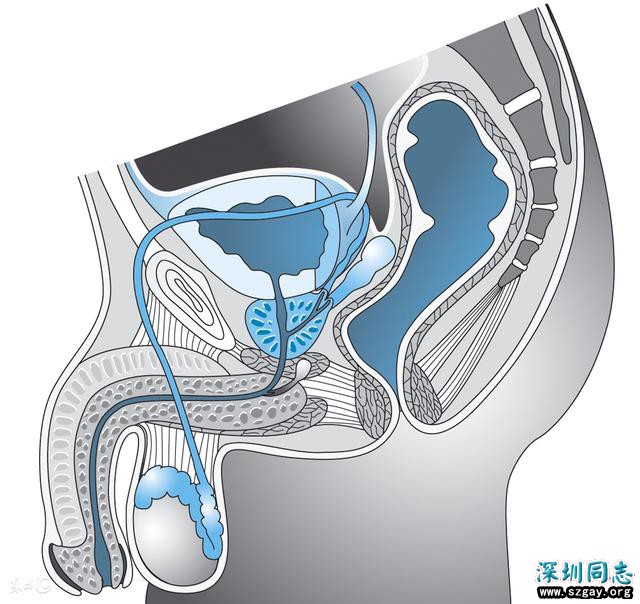 XKv1kxk6aaan758A.jpg